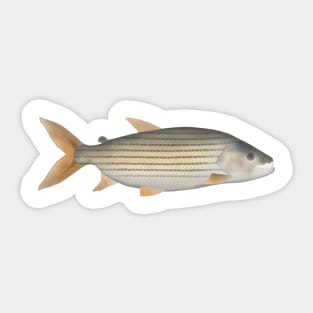 Tiger Fish Sticker